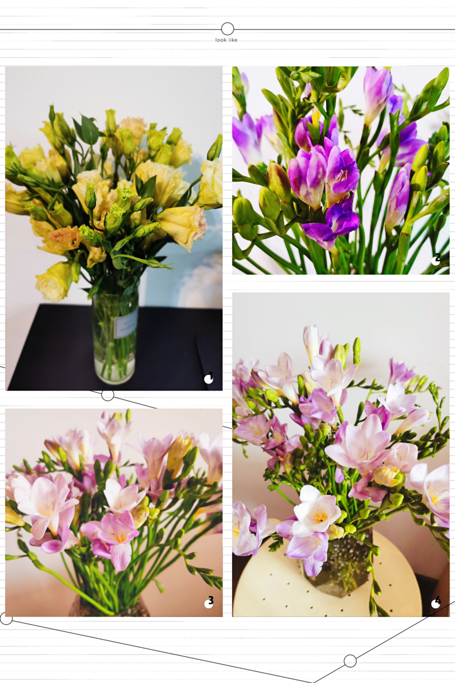 Happy Women’s Day | 戰疫時期，這個三八節，我們“e”起過！